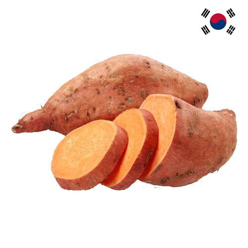 батат из Кореи, Республики