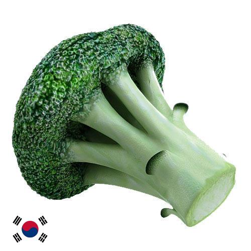 брокколи из Кореи, Республики