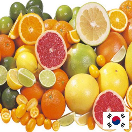 Цитрусовые фрукты из Кореи, Республики