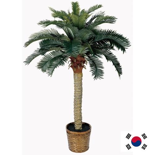 Деревья искусственные из Кореи, Республики