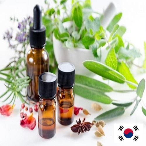 Эфирные масла из Кореи, Республики