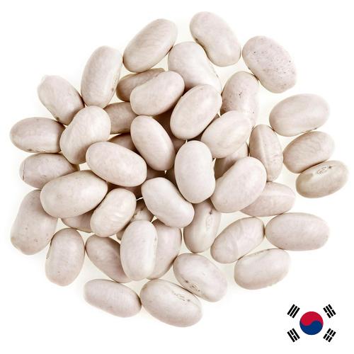фасоль белая из Кореи, Республики