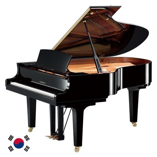 Фортепиано из Кореи, Республики