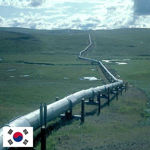 Газовая линия из Кореи, Республики