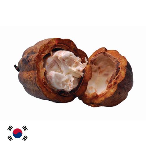 Какао масло из Кореи, Республики