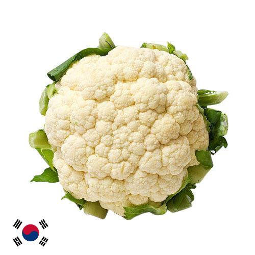 Капуста цветная из Кореи, Республики