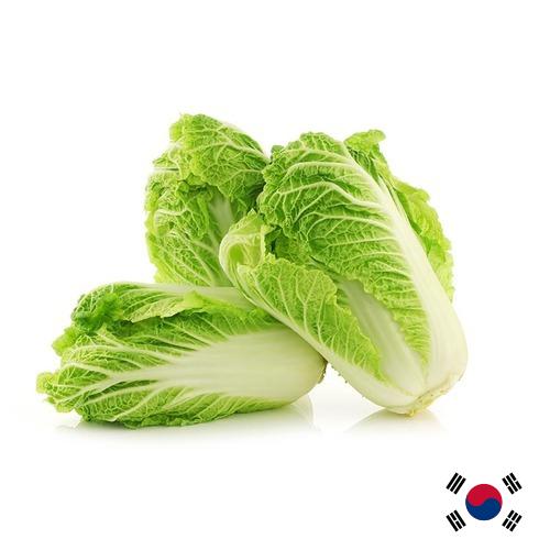капуста пекинская из Кореи, Республики