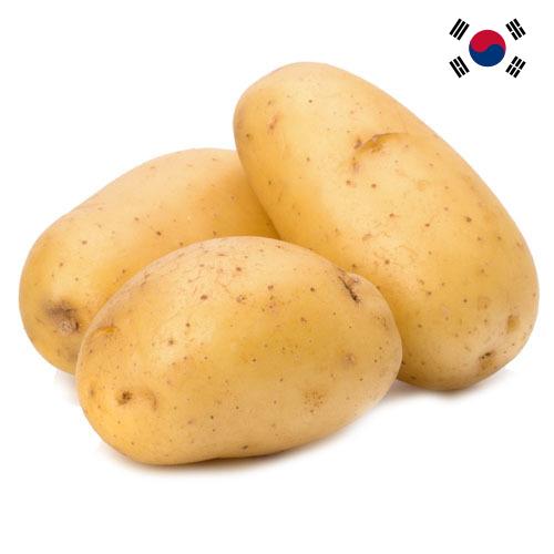 картошка из Кореи, Республики