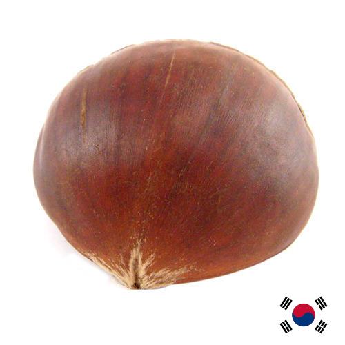 Каштан из Кореи, Республики