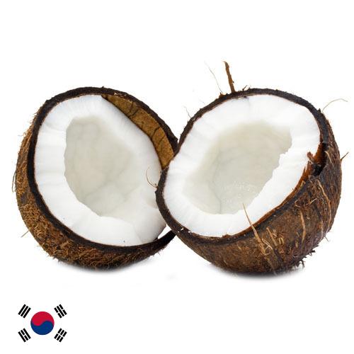 Кокосы из Кореи, Республики