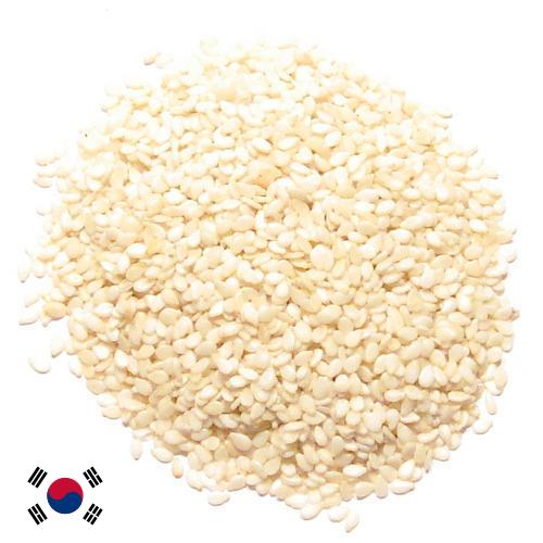 кунжут семена из Кореи, Республики