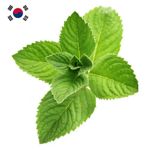 Ментол из Кореи, Республики