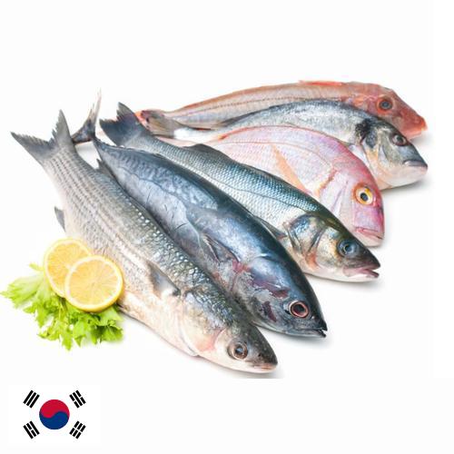 Морепродукты из Кореи, Республики