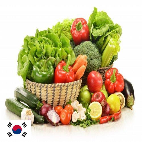 Овощи свежие из Кореи, Республики