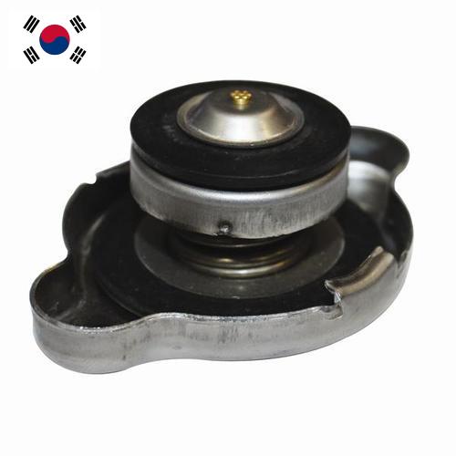 Решетка радиатора из Кореи, Республики