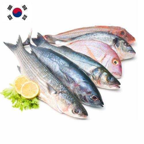 рыба и морепродукты из Кореи, Республики