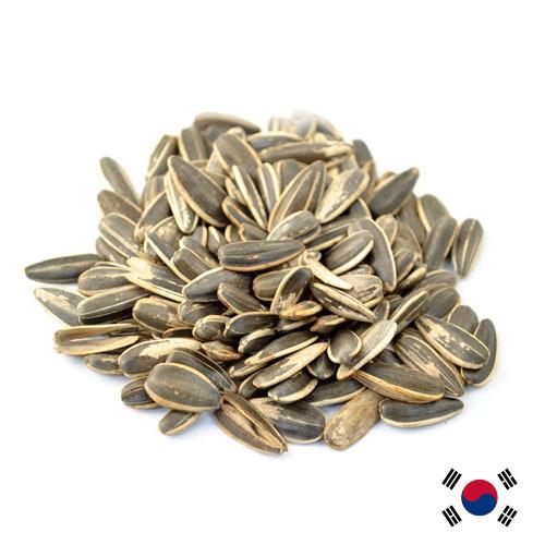 Семена подсолнечника из Кореи, Республики