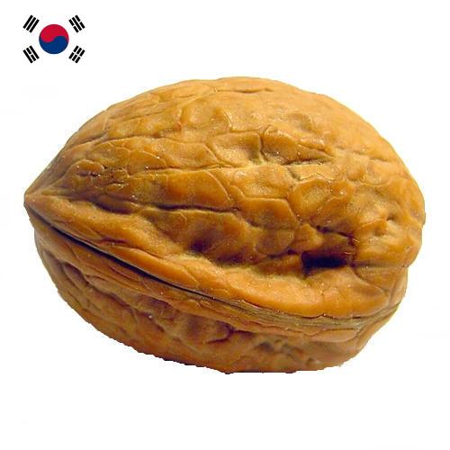 Скорлупа грецкого ореха из Кореи, Республики