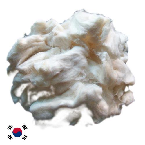 вискоза из Кореи, Республики