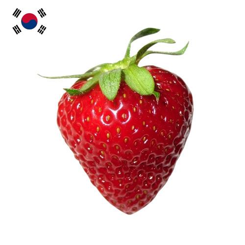 Земляника из Кореи, Республики