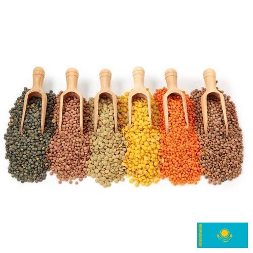 Бобовые культуры из Казахстана