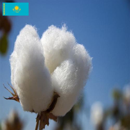 Хлопок из Казахстана
