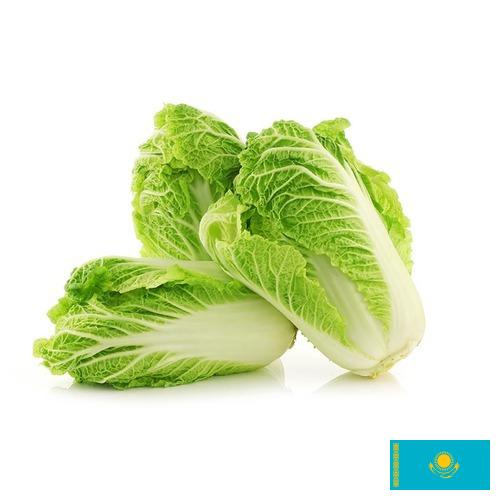 Капуста китайская из Казахстана