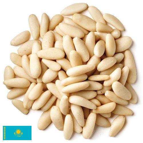 Кедровые орехи из Казахстана