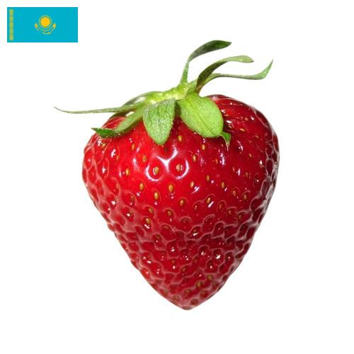 Клубника из Казахстана