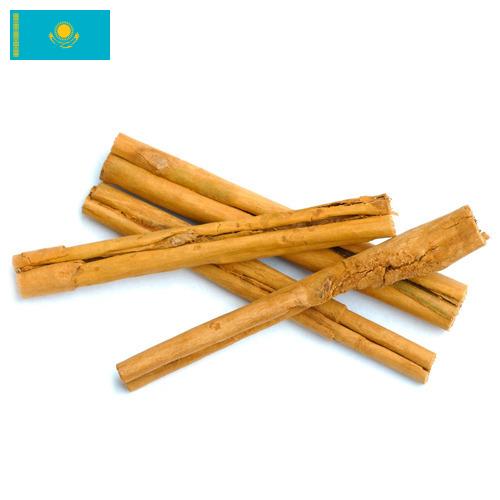 Корица из Казахстана