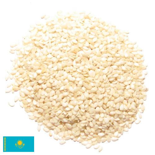 кунжут семена из Казахстана