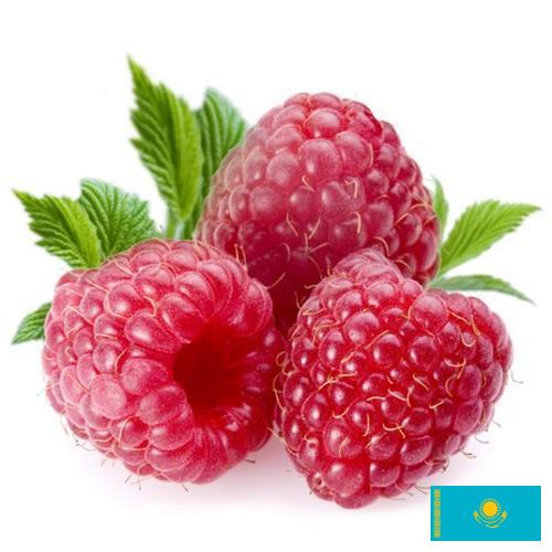Малина из Казахстана