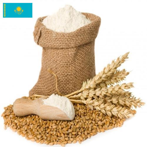 мука пшеничная первый сорт из Казахстана