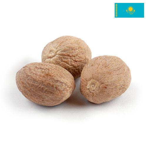 Мускатный орех из Казахстана