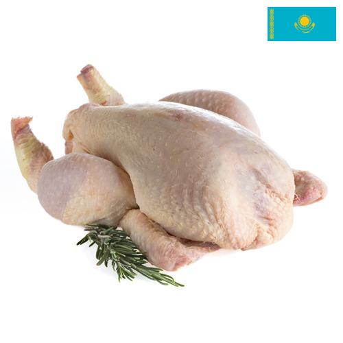 мясо птицы тушка из Казахстана
