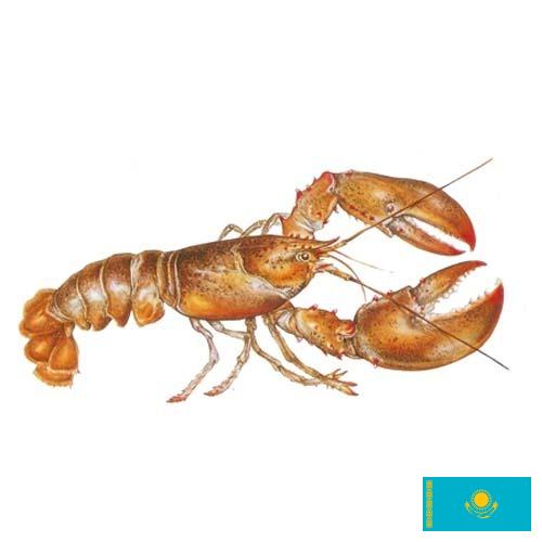 Омары из Казахстана