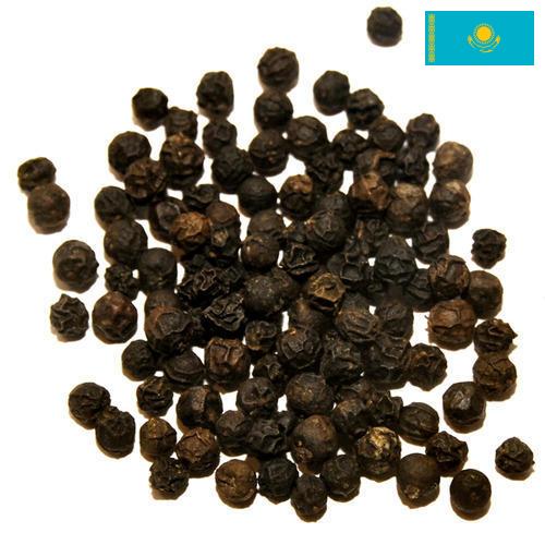 перец черный из Казахстана