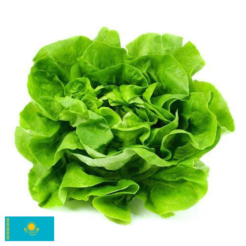 салат из Казахстана