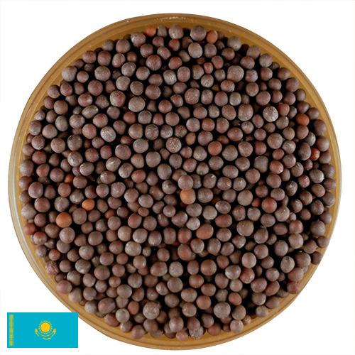 семена горчица из Казахстана