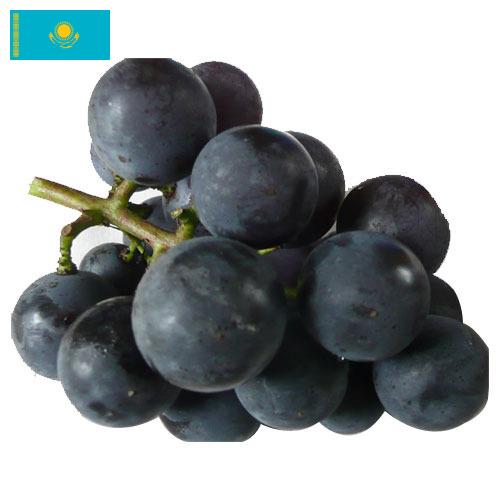 виноград столовый из Казахстана