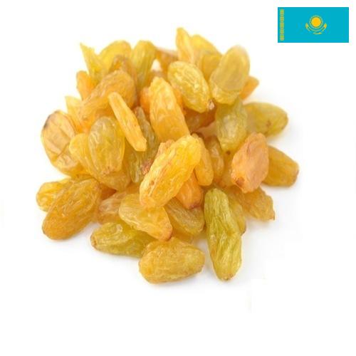 виноград сушеный из Казахстана