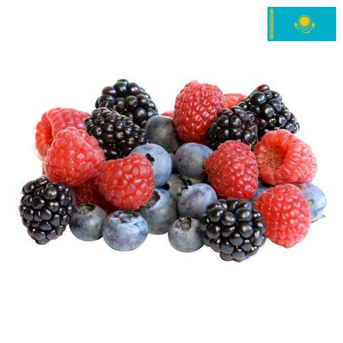 Ягоды замороженные из Казахстана