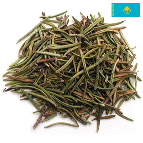 зелень сушеная из Казахстана