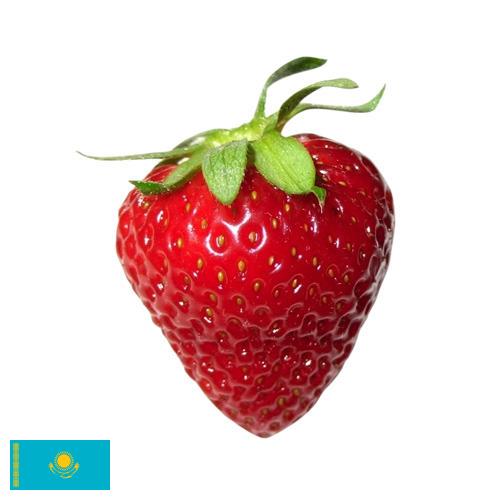 Земляника из Казахстана