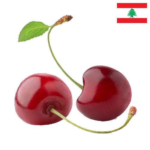 Черешня из Ливана