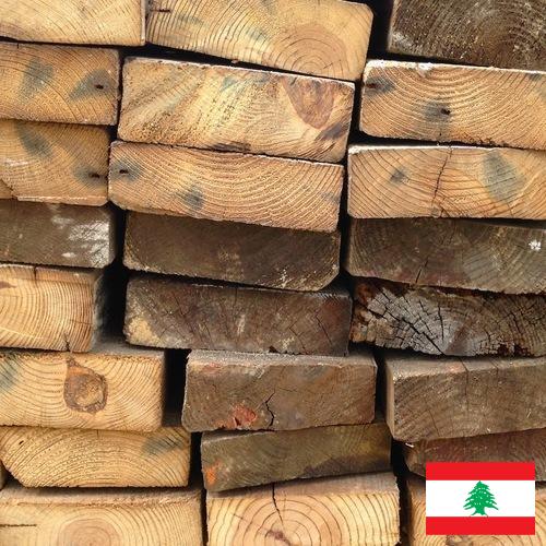 дерево из Ливана