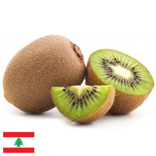 Киви из Ливана