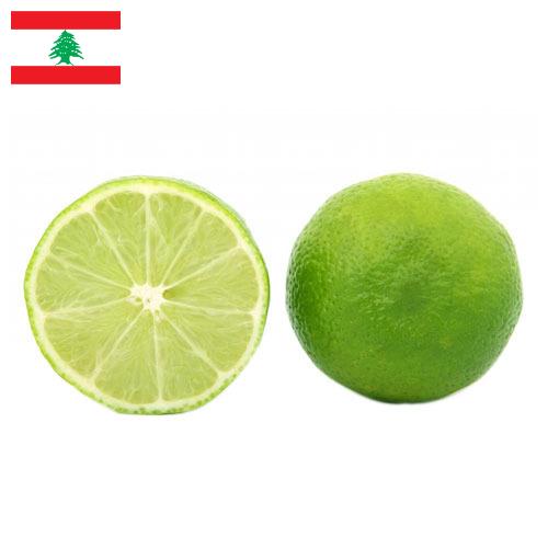 лайм из Ливана