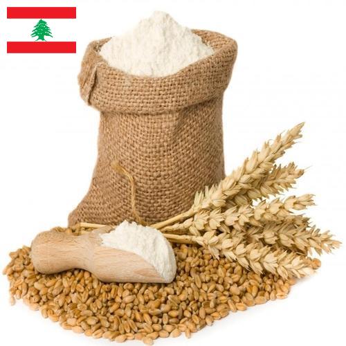 мука пшеничная хлебопекарная высший сорт из Ливана