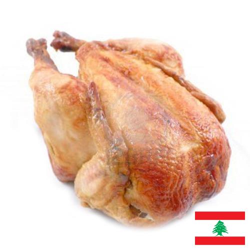 мясо куриное из Ливана